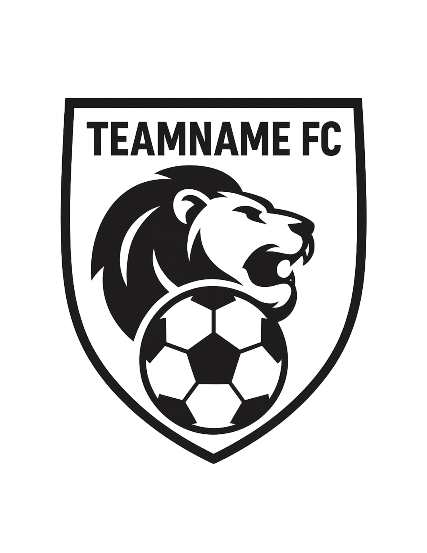 Team Name FC